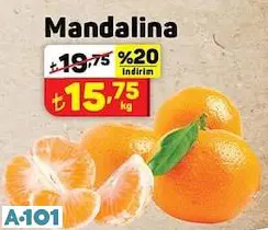 MANDALİNA MANDALİNA